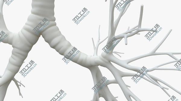 images/goods_img/20210312/Trachea for 3D printing model/4.jpg